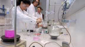 Internationale Forschende arbeiten im Labor mit Reagenzgläsern.